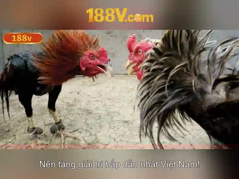 Đăng Nhập 188v