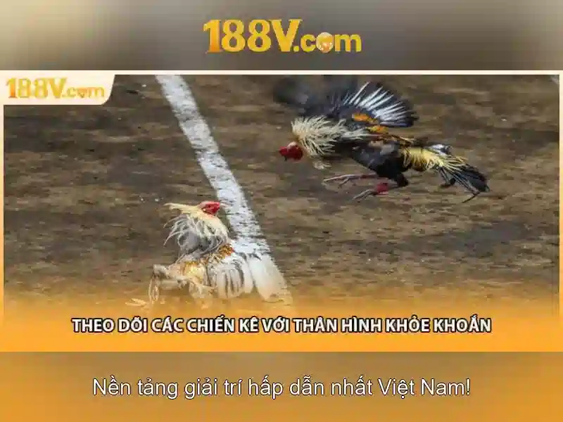 Tải APK 188V Miễn Phí