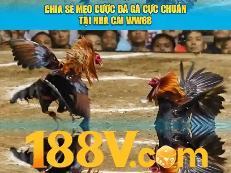 Khám Phá Thế Giới Slot Uy Tín Trên 188v