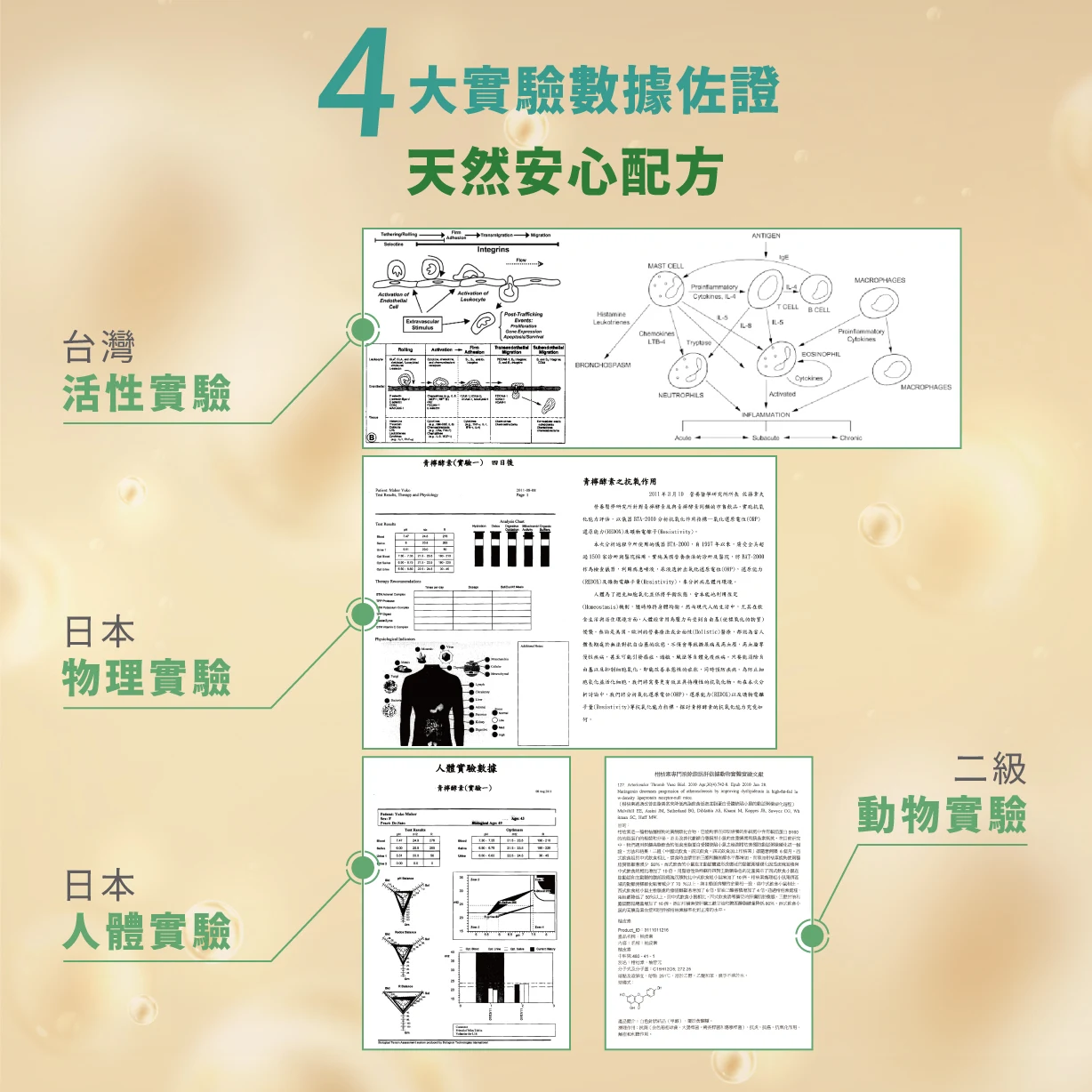 展示泰禾康產品經過實驗佐證，確保產品效果與安全性