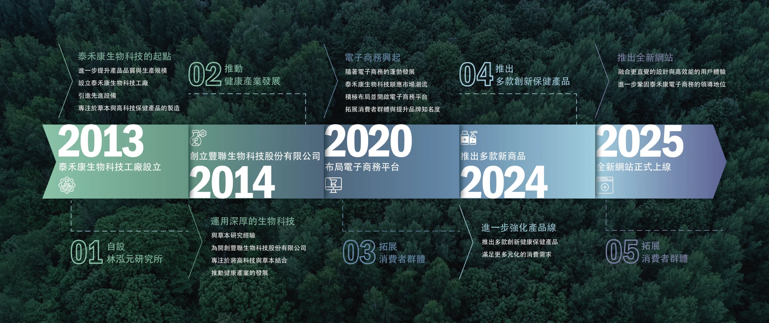 泰禾康企業歷程圖，顯示品牌自創立以來的主要發展步驟與成就。