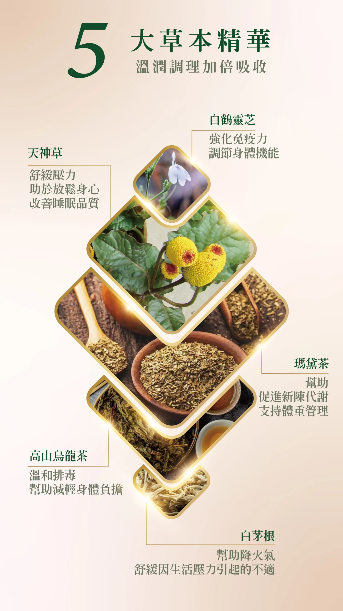 商品詳情圖片3