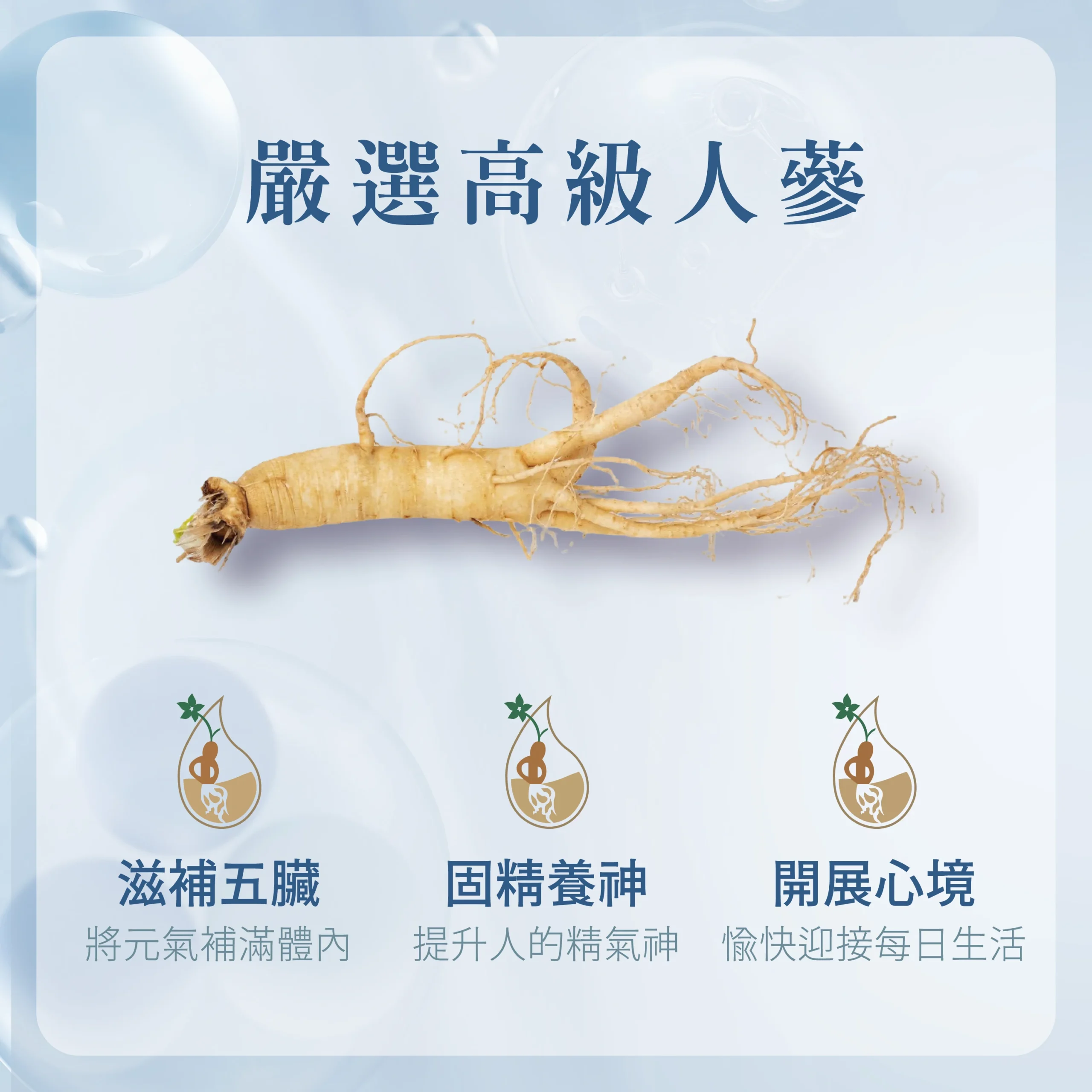 養氣人生_商品圖-2 泰禾康 養氣人生 商品圖 - 健康氣血補充