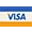 Visa 信用卡支付圖示